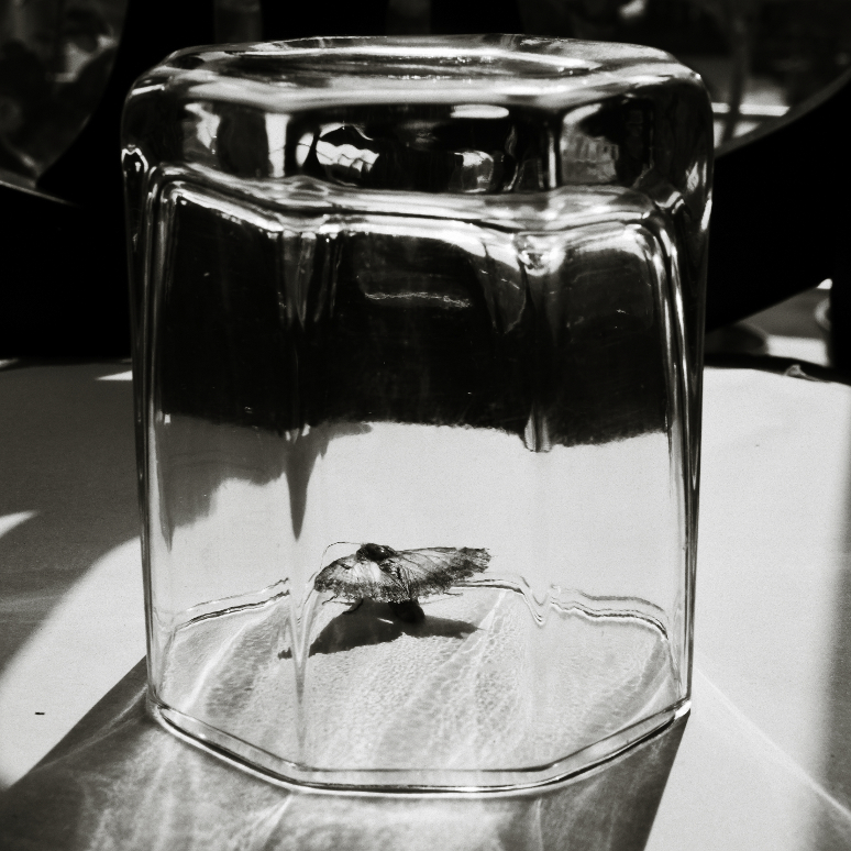 Waiting to be&nbsp;free